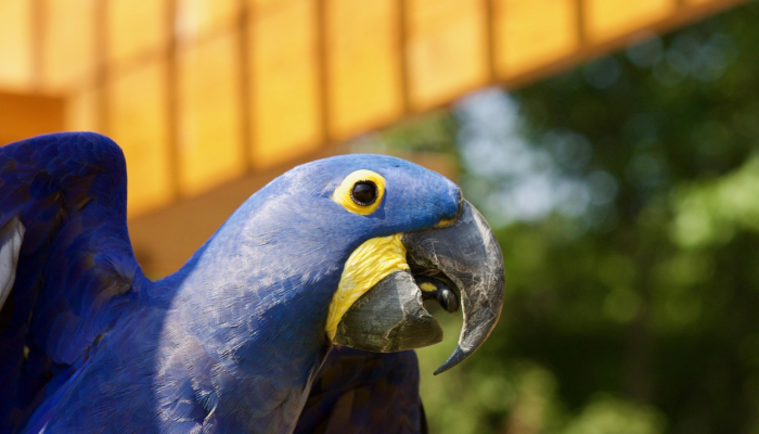 唐山玉田疫情通告最新：您的健康与安全至上