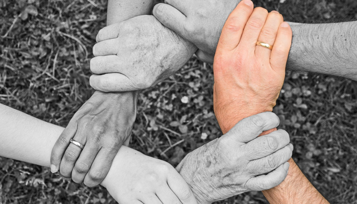 王宫疫情最新通报：重启生活新常态的深刻探讨